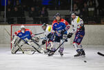Eisbären erreichen Finale