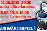 Eisbären testen in der Fremde