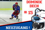 Dech kehrt zu den Eisbären zurück