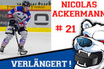 Abwehr-Routinier ackert weiter im Icehouse
