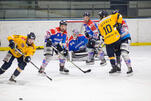 Eisbären erleiden Rückschlag