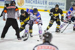 Eisbären reisen zum Derby