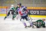 Eisbären unterliegen knapp den Steelers