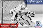 Sponsoring bei den Eisbären