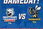 LL: Eisbären empfangen Hornets